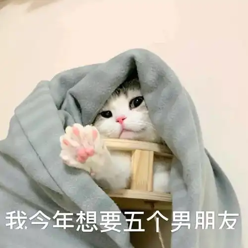 猫猫表情包第十期丨爱情这杯酒,谁喝都得醉