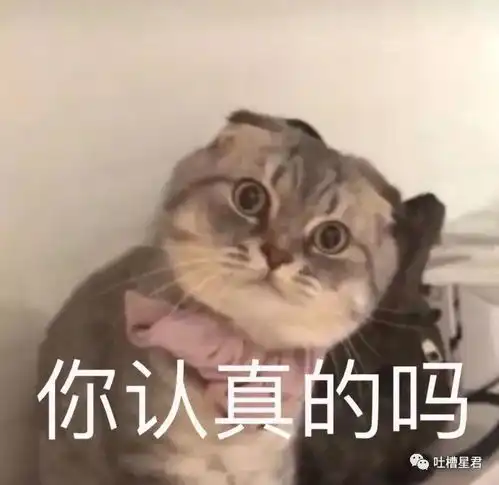 刷屏朋友圈的游客照,国庆千万不要出去玩哈哈哈哈哈哈