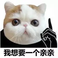 一组可爱的猫咪头表情包