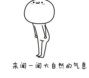 果然,屁是检验真爱的唯一标准