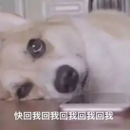 教会孩子社交中最大的不靠谱,就是收到不回复