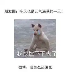 微信ok微博ok是什么梗
