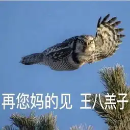 斗图小表情1.17