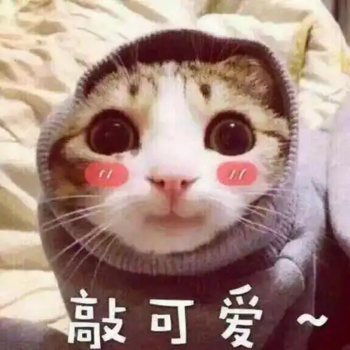 如何让自己的寒假flag不打脸院院来支招