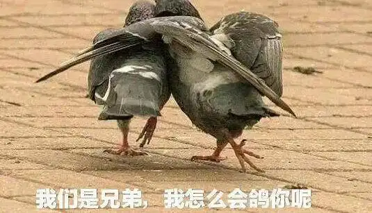 留学花费上百万,归国月薪4100,出海捕鱼渔网丢,别人镀金你镀纸