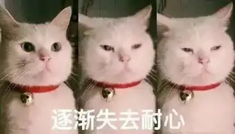 足足1200m2台州水上乐园游泳尽情嗨萌娃们的暑假福利来了