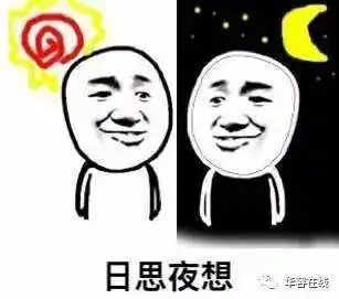 因队友太坑输掉游戏英雄联盟玩家头撞显示屏自杀
