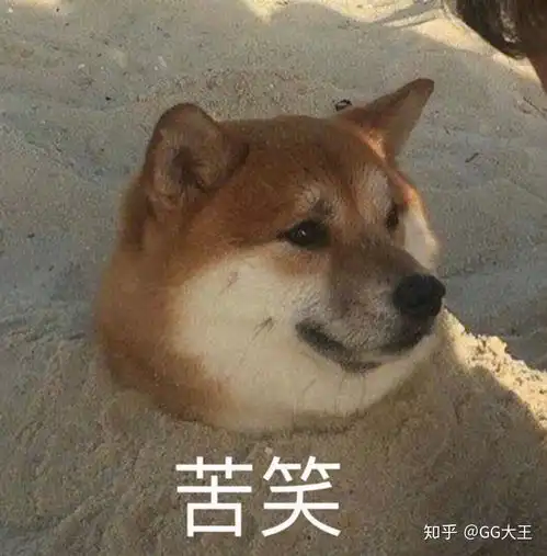 2019年了,前几代iphone还值得入手吗