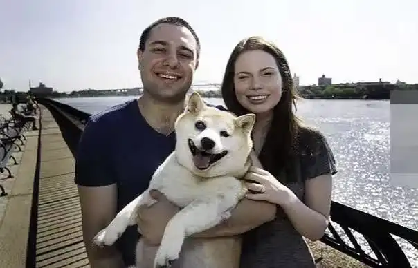它就是最爱笑的柴犬,笑容背后却是满满的心酸啊