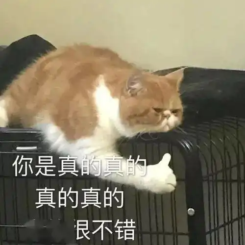 日常沙雕表情包