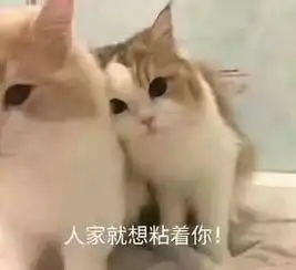 哄女朋友的表情包求求你了,漂亮姐姐