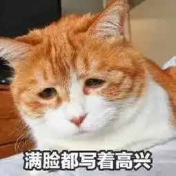 惊你表情包里这些猫的原型来了,快看你认识几个