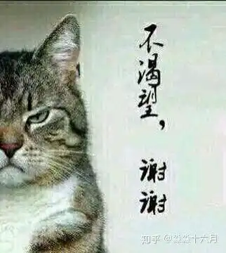 在一个相亲平台,有个问题特别好奇怪,想知道问题出在哪为什么情况一言难尽
