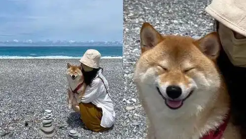 爸爸抱一脸尴尬,妈妈抱一脸灿笑...这孩子居然有两副面孔