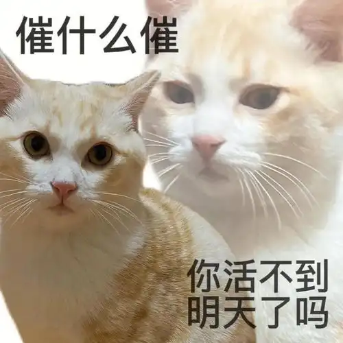 打工人专属表情包