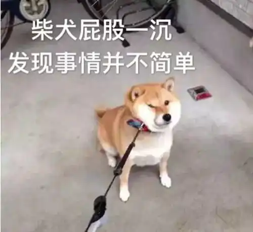 换个头像也可能侵权你知道吗