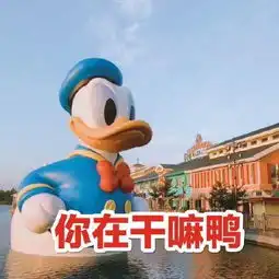 唐老鸭约人表情包今天吃什么鸭求安排鸭什么时候出去玩鸭