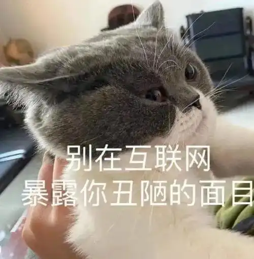 抖音表情包i要做一个干干净净的女孩子