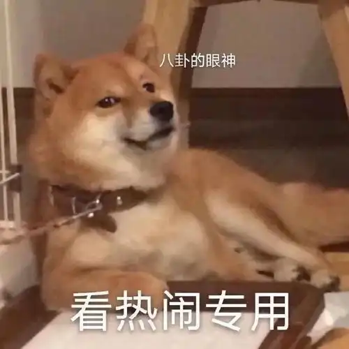 搞笑表情包今天也在努力划水