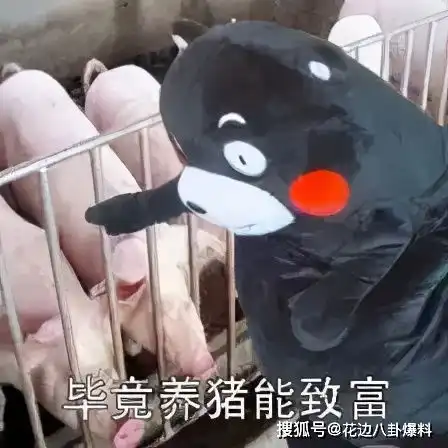 五环歌的故事阿金当众让师傅难堪为了利益阿金新认了干爹