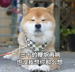 柴犬土味情话表情包合集你知道我的缺点是什么吗