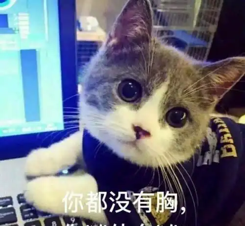 第一次养猫你都闹过什么笑话网友你是不是在我家安监控了