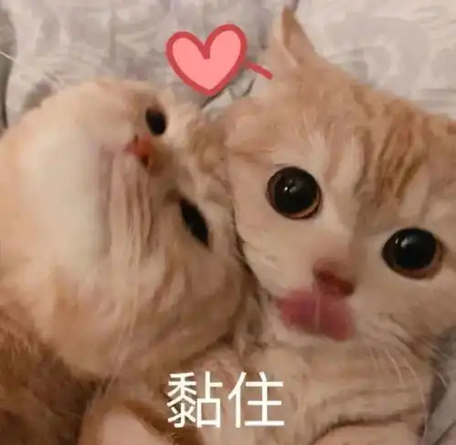 孩子亲爸究竟是谁娱乐圈随时随地发现新孩子哈哈哈哈