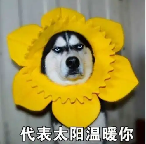 闺女,听说你有男朋友了