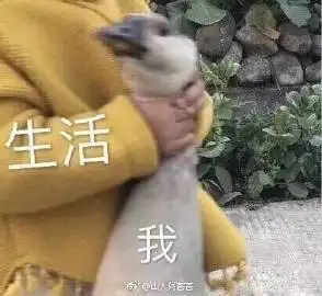 山人阿苍苍的微博微博