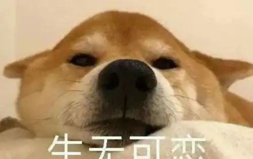 小学生请假条文言文版,这样的请假条想不批都难