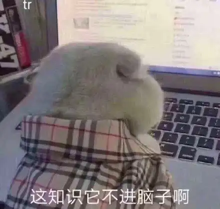 各位上网课的老师,你们控制一下寄几啊