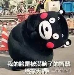 双十一防骗指南反套路技能已上线