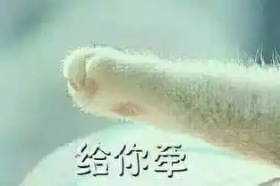 艺术生姑娘记住了,不要随便跟男朋友玩表情包