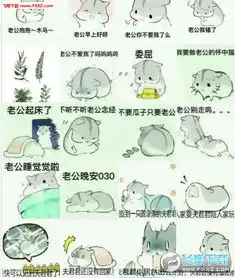 夫控妻奴仓鼠表情包完整版夫控妻奴仓鼠表情包全套合集中字免费版下载飞翔下载