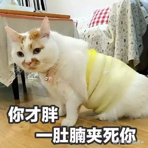 表情包超有趣的吃货表情包快来码上