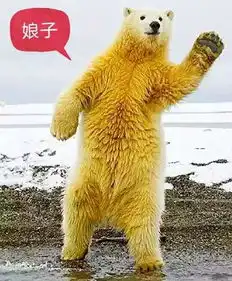 有哪些好玩的表情图
