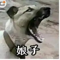 family乱瞳个人主页我秀直播间视频娱乐直播