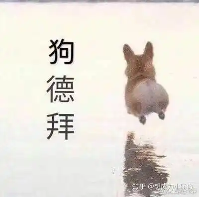 王俊凯开一次演唱会能赚多少钱