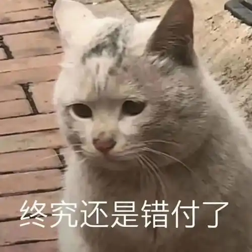 情侣聊天表情包