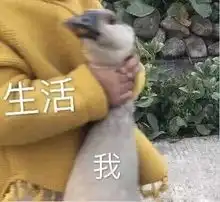 娱乐播报张丹峰新片被换角,贾乃亮自曝单身