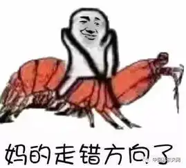 皮皮虾我可能打了假的高尔夫