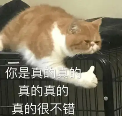 看到自家猫被别猫欺负,网友抄家伙往外冲,结果和猫一块被揍傻了