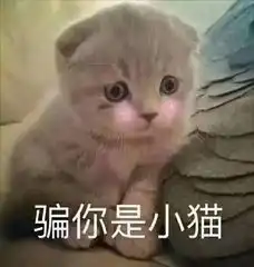 猛男必须收藏的图