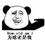 熊猫表情包图片