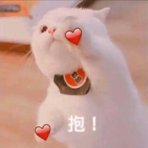 妈耶太难了