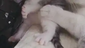 女老板这种偷偷摸摸的事情根本瞒不过我