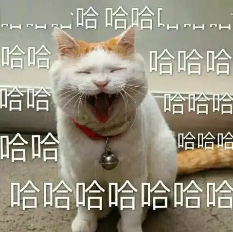 笑出声福建人和东北人成语接龙,奇怪的方言增加了劳动节快乐