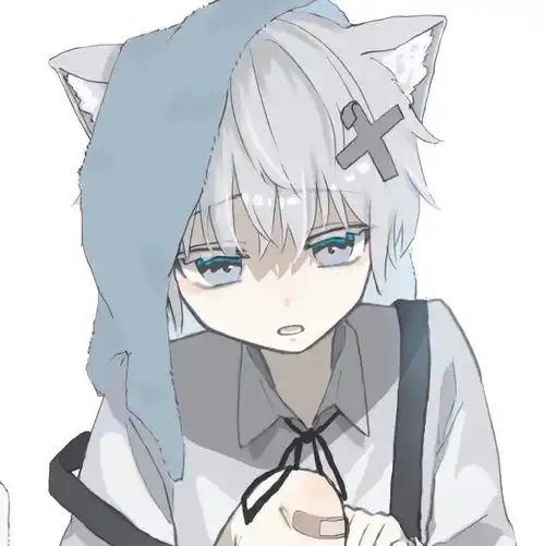 动漫男头半辞