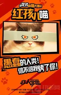 4.12去猫岛开黑非人学园开启花式吸猫大赛