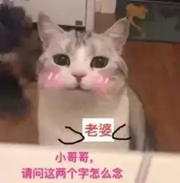 喵喵叫萝莉音到底有什么魔力,轻松掏空你的荷包